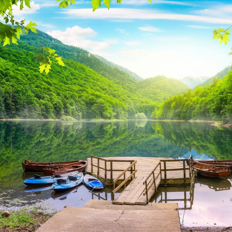Biogradska-gora-nacionalni-park-crna-gora-by-givaga-bigstockphoto