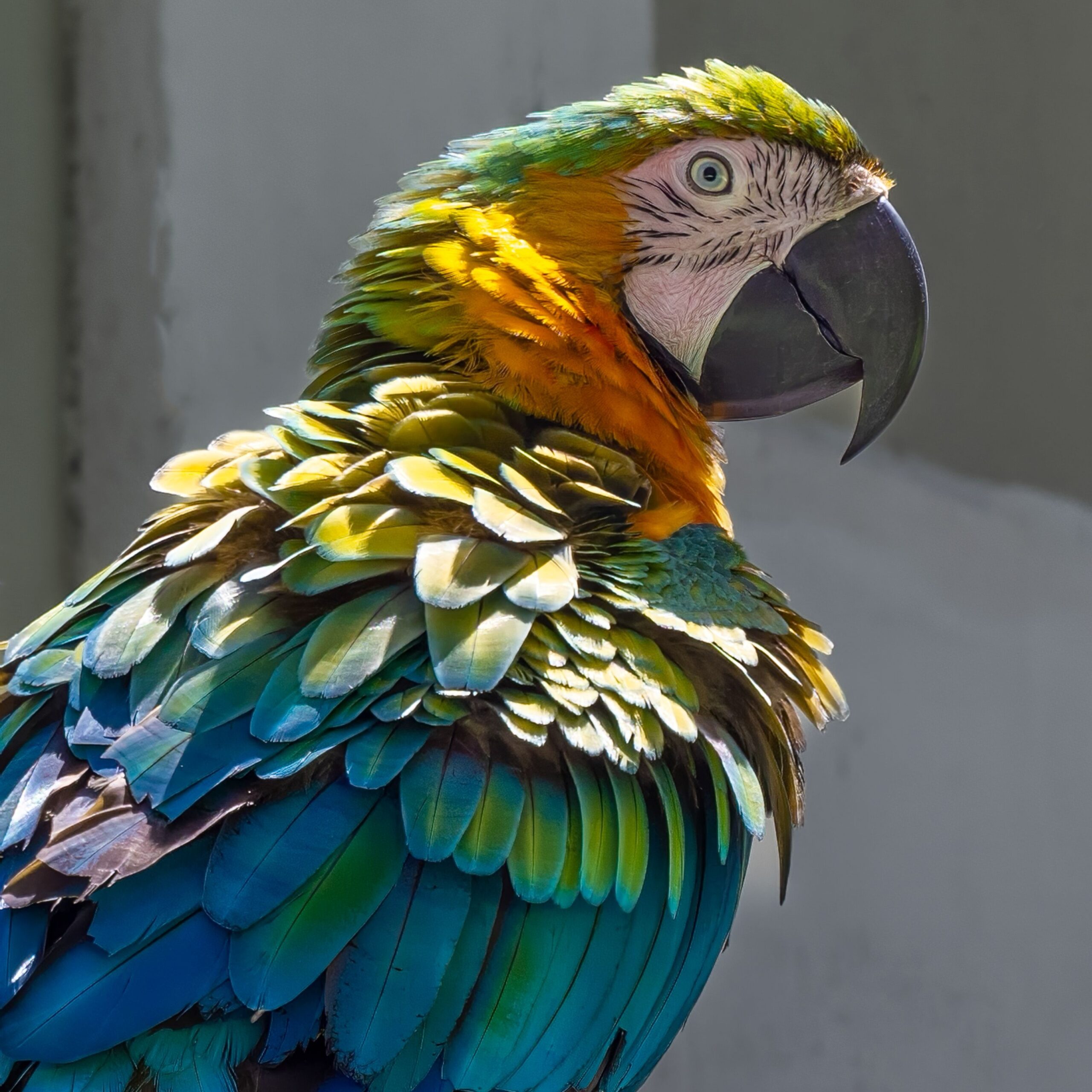 pexels-mnannapaneni-15833949