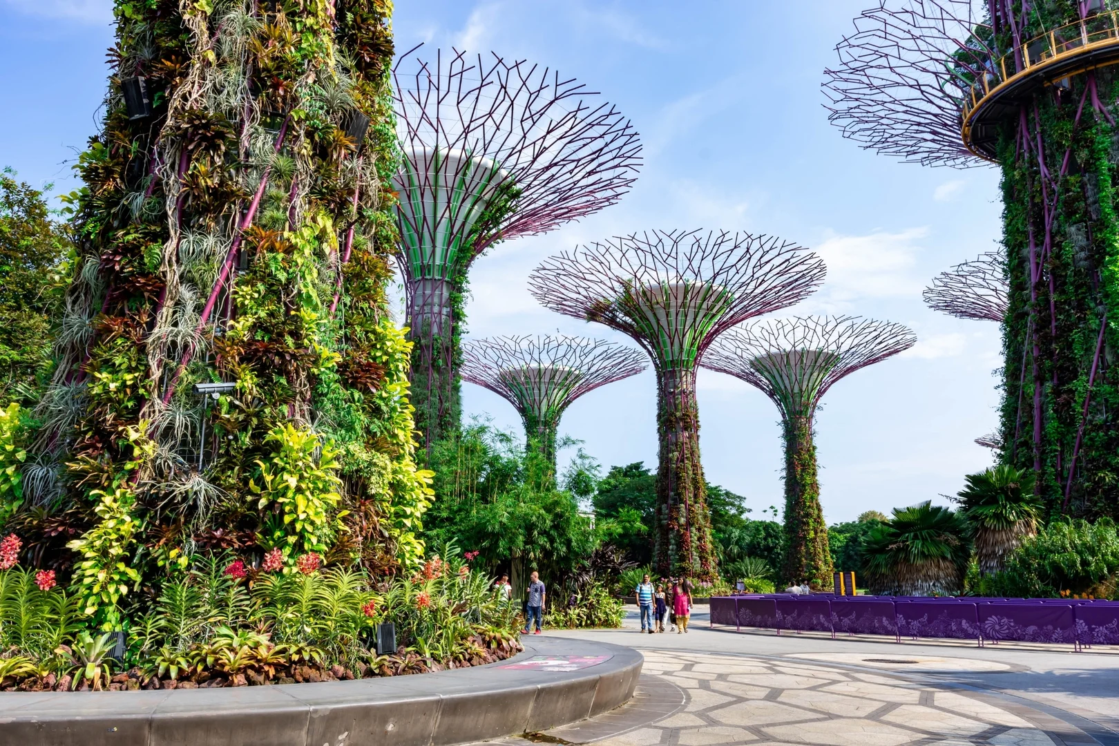 Supertree Grove dans Gardens by the Bay à Singapour