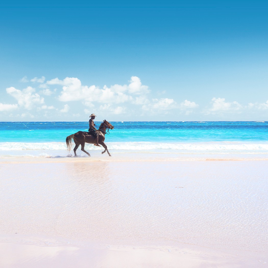 Horse on Beach Spanish Wells